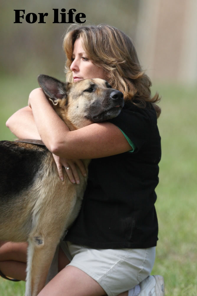 Scheurman's K9 Academy Dog Training Jacksonville Florida